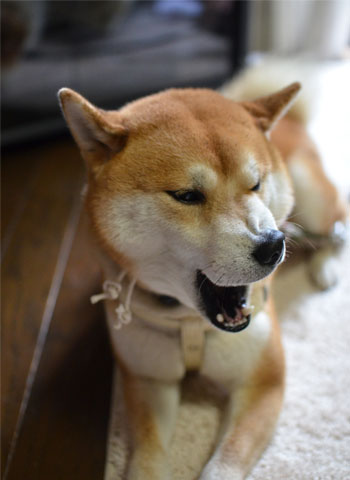25日ブログ9.jpg