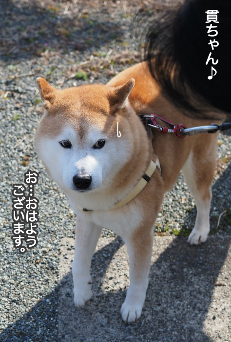 9日夕ブログ３