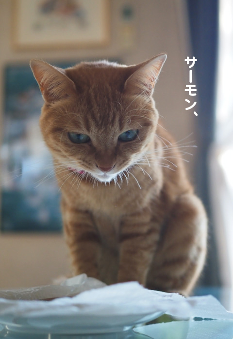 25日ブログ１