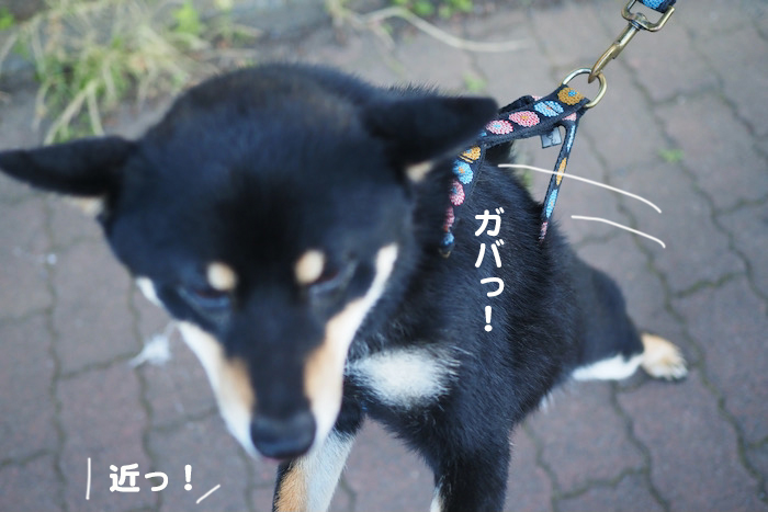 28日夜ブログ4