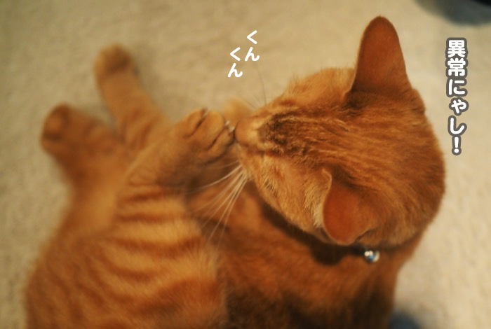 9日夕ブログ１０