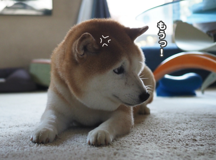 10日ブログ１１