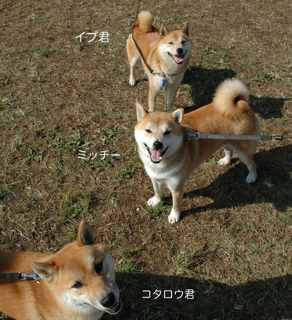 21日ブログ11