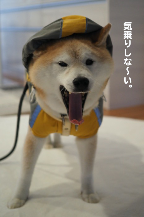 16日夜ブログ２