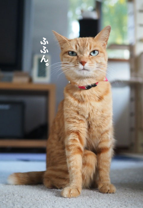 12日夕ブログ４