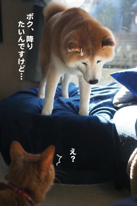 10日ブログ３