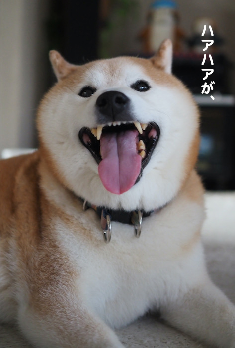 6日夜ブログ６