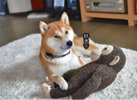 18日ブログ5.jpg
