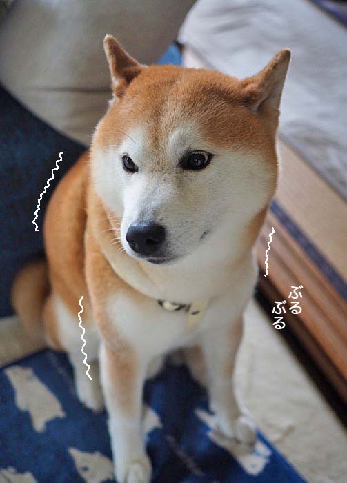 3日午後ブログ６