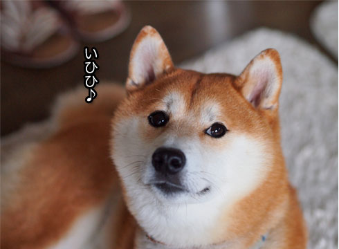 28日ブログ3.jpg