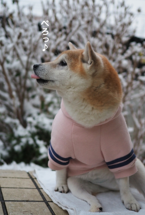 6日夜ブログ１０