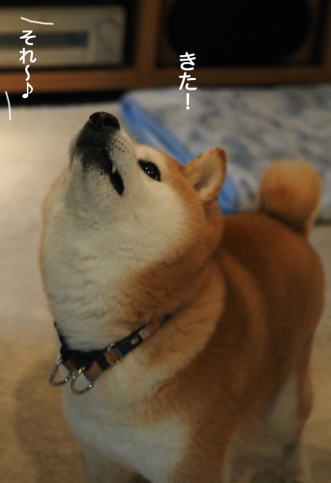 9日ブログ４