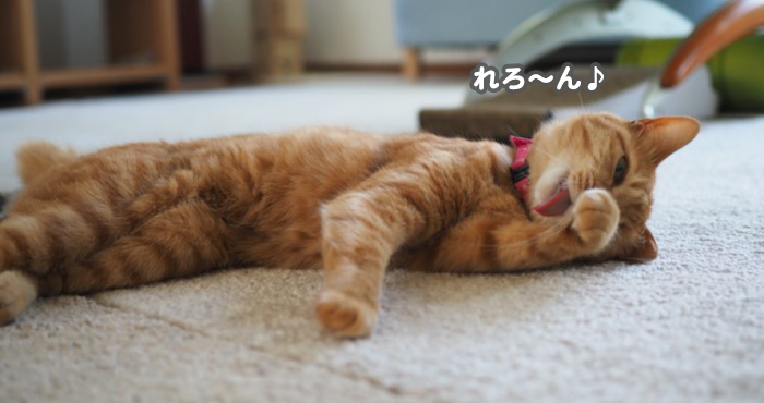 5日夕ブログ５