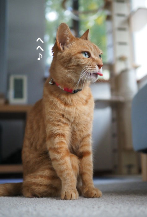 12日夕ブログ３