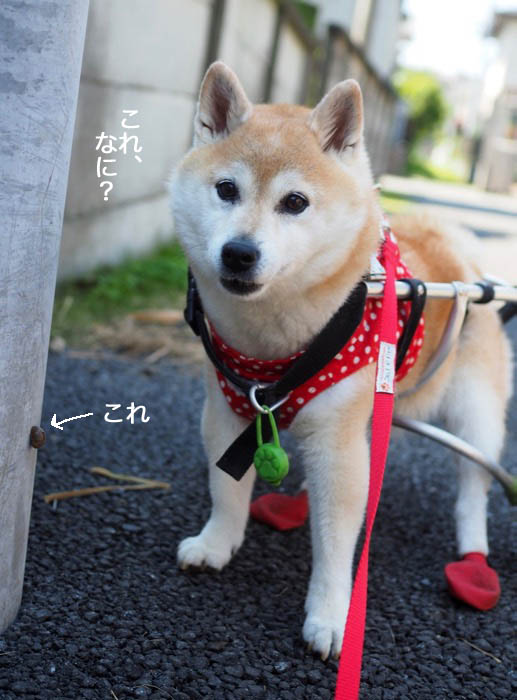 31日午後ブログ２