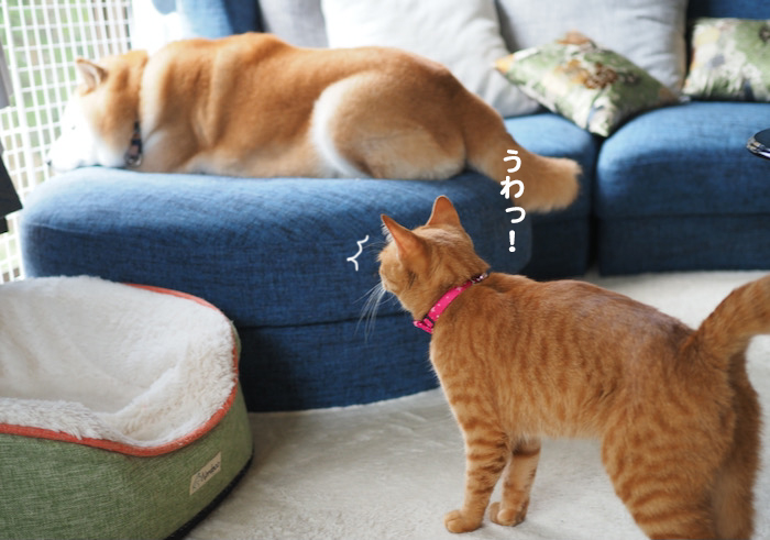 1日のブログ２