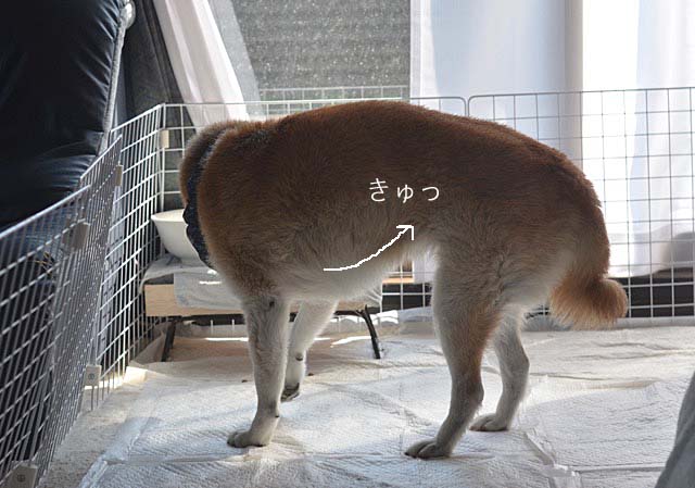 25日ブログ4