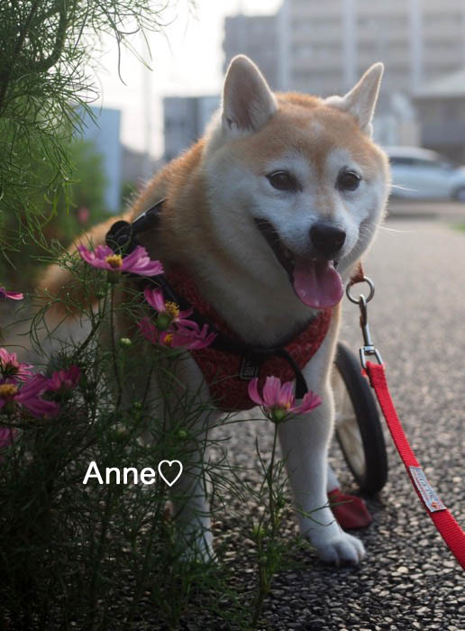 28日ブログ１