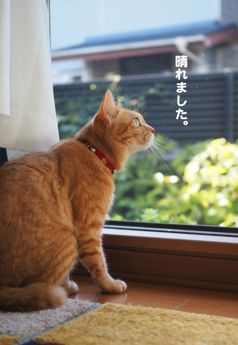 6日ブログ２