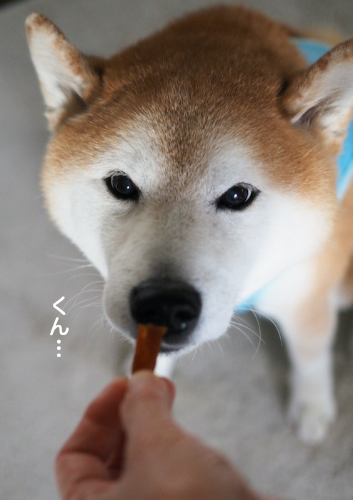 15日夕ブログ３