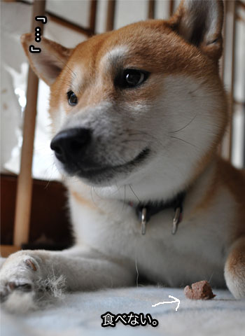 30日ブログ13.jpg