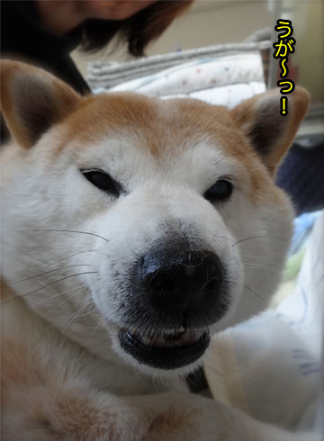26日ブログ6.jpg