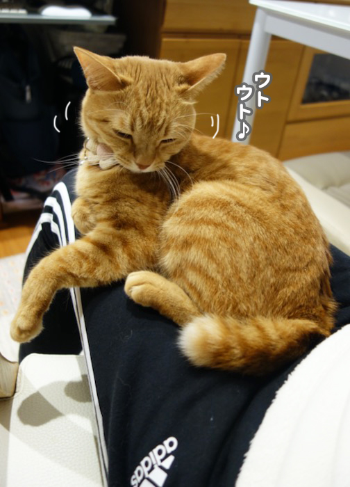 3日夕ブログ２