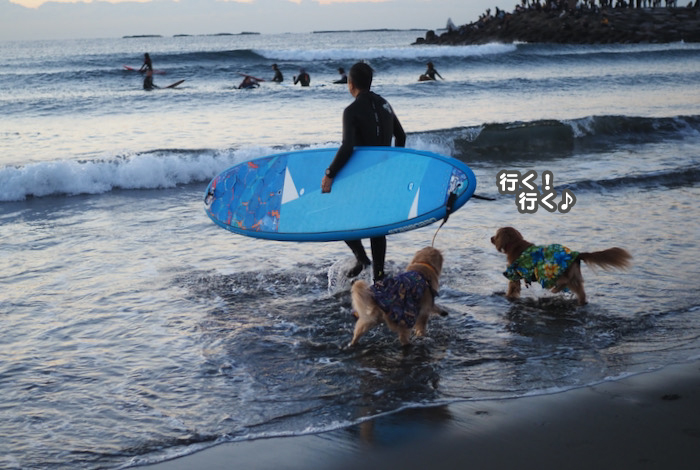 1日夕ブログ２