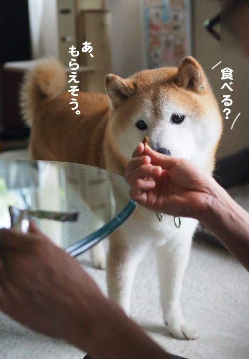 18日夕ブログ3