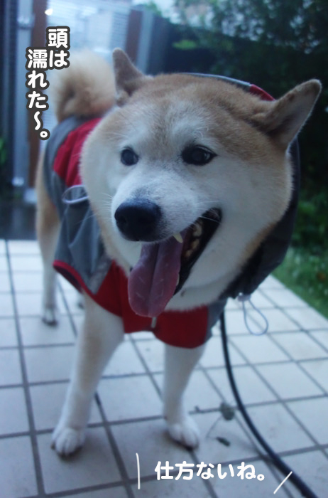 31日ブログ４