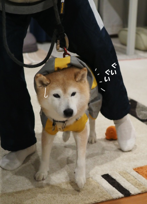 7日ブログ９
