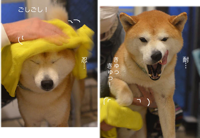 7日ブログ9