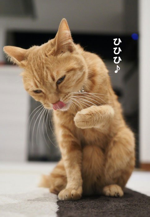 2日夕ブログ５
