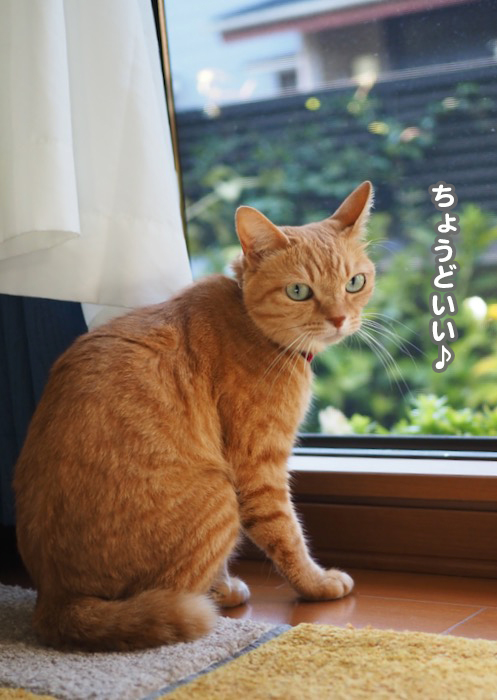 6日ブログ３