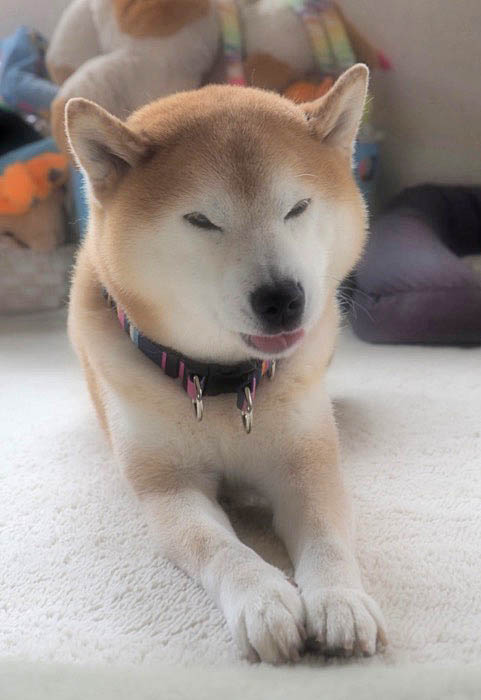 28日ブログ６