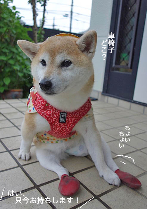 17日昼ブログ３