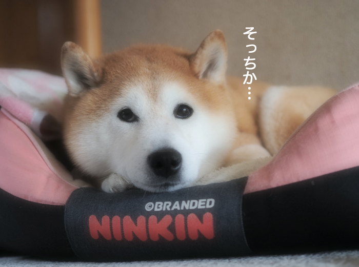 1日夜ブログ９