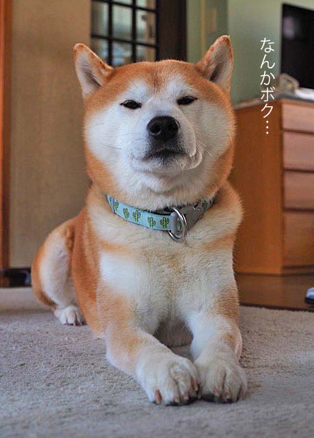31日ブログ３