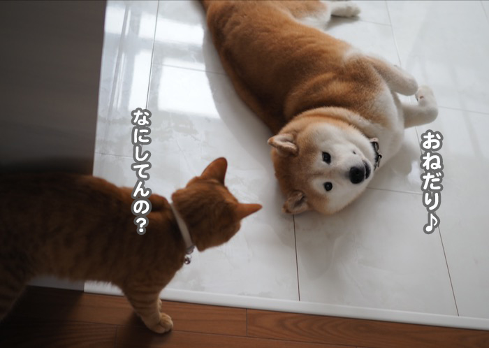 10日夕ブログ７