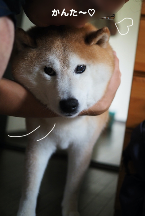 6日夕ブログ２