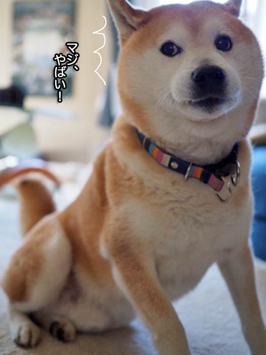 23日午前ブログ３