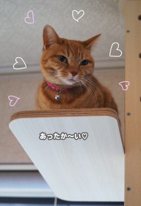 4日夕ブログ４