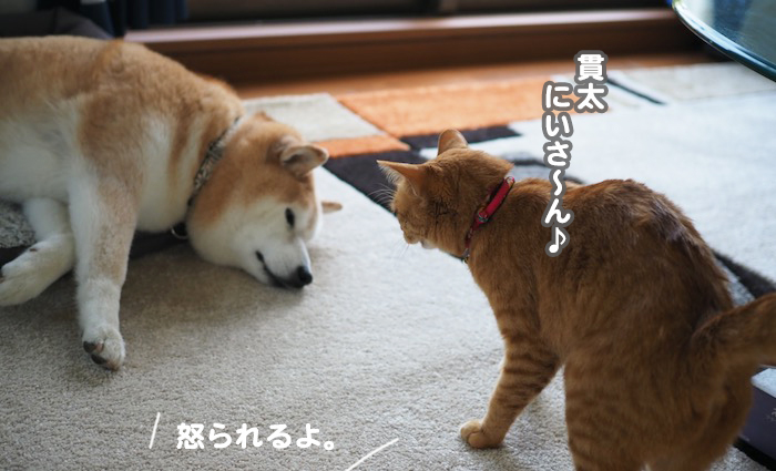 30日夕ブログ８