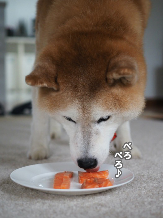 23日ブログ３