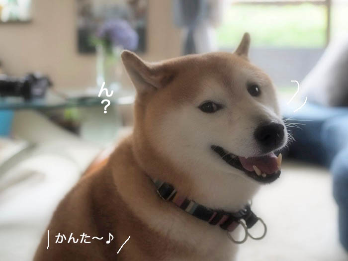 21日夕ブログ２