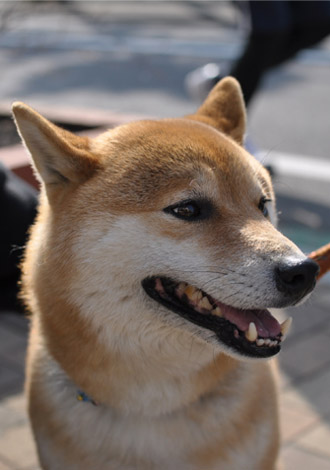 2日ブログ６.jpg