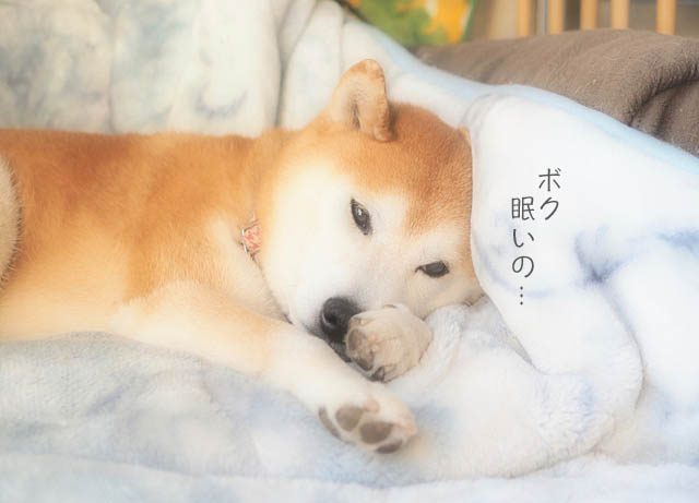5日ブログ2