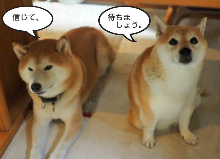 16日夕ブログ６