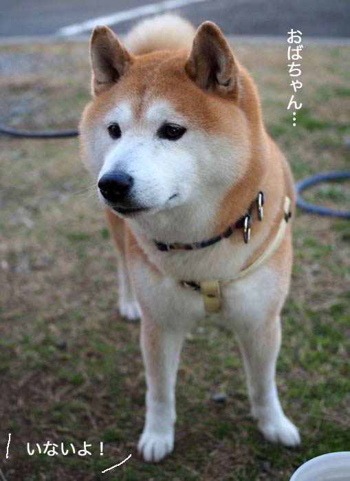 10日夜ブログ６