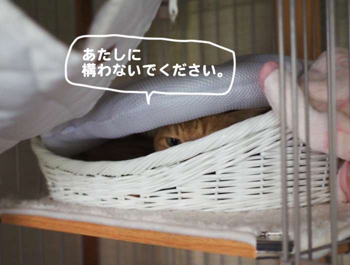 13日夕ブログ１